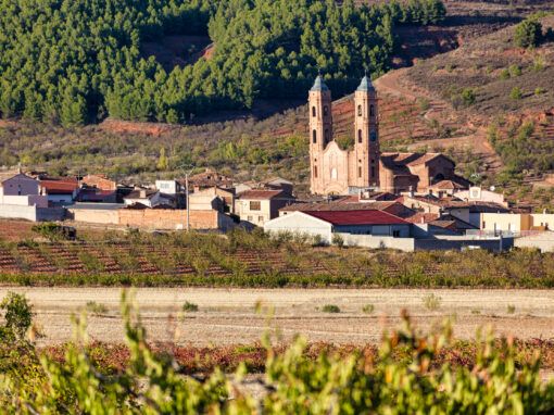 El Baile del Ton de San Cristóbal de Munébrega