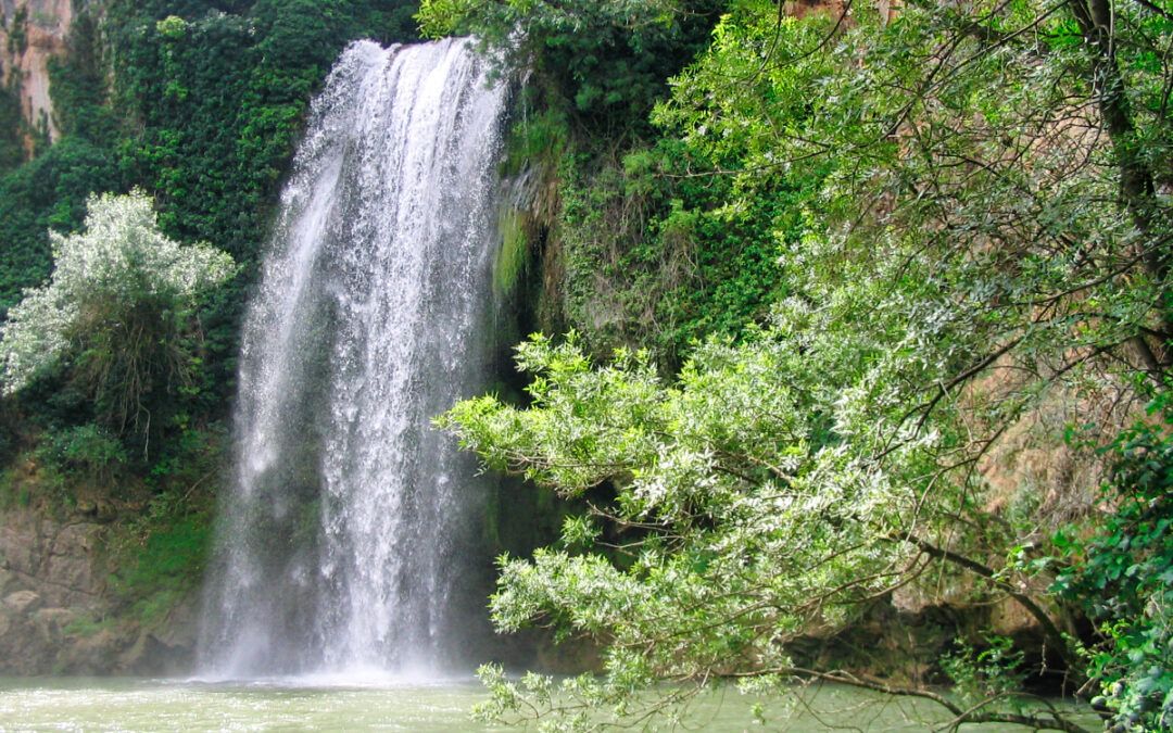 Salto de la Requijada