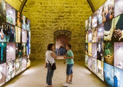 Museo del Vino de la D.O. Calatayud